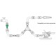 Adaptador Manguera Plastico 3/4 hembra  Blister